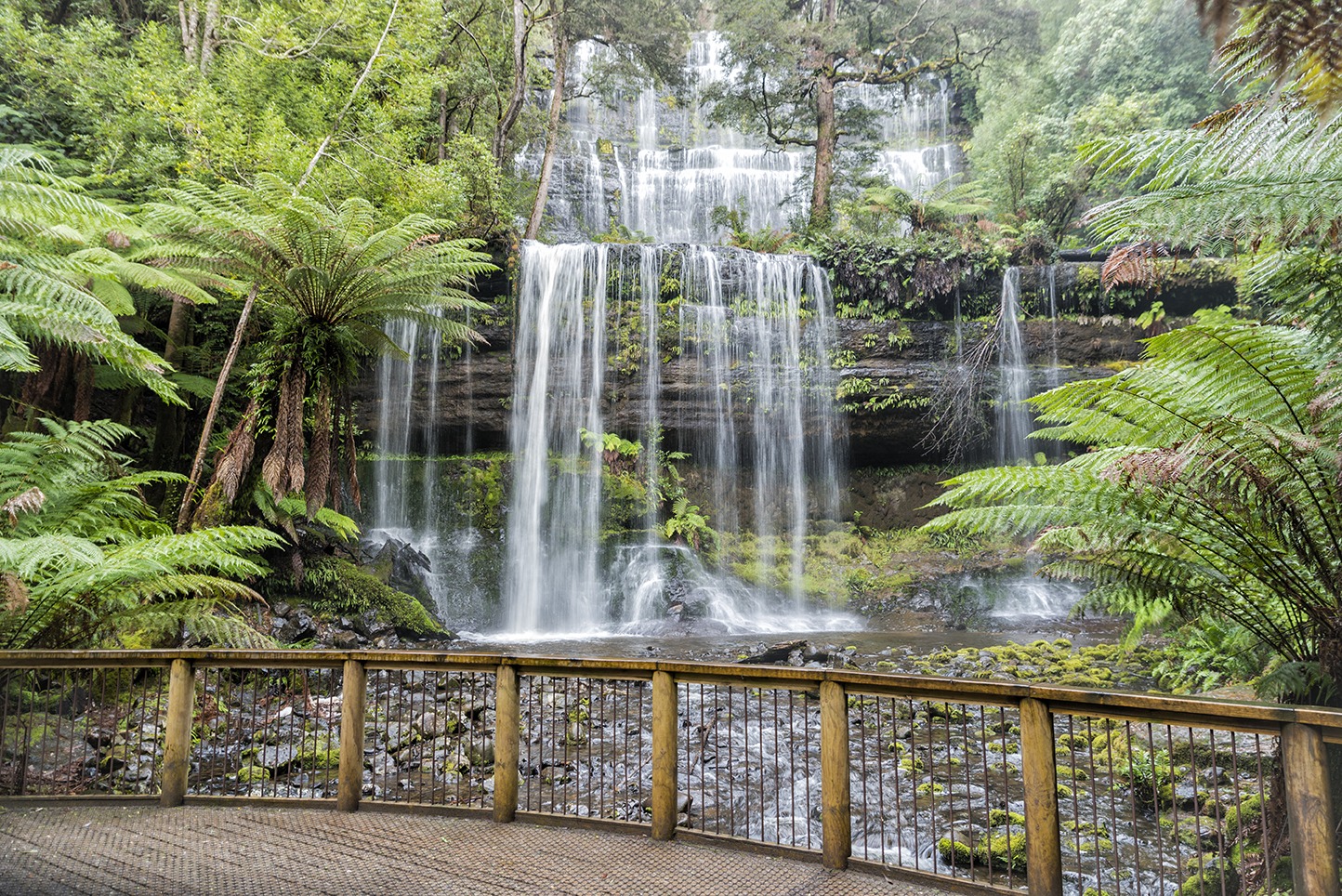 Russell Falls Trail Run Tasmanian Masters Athletics