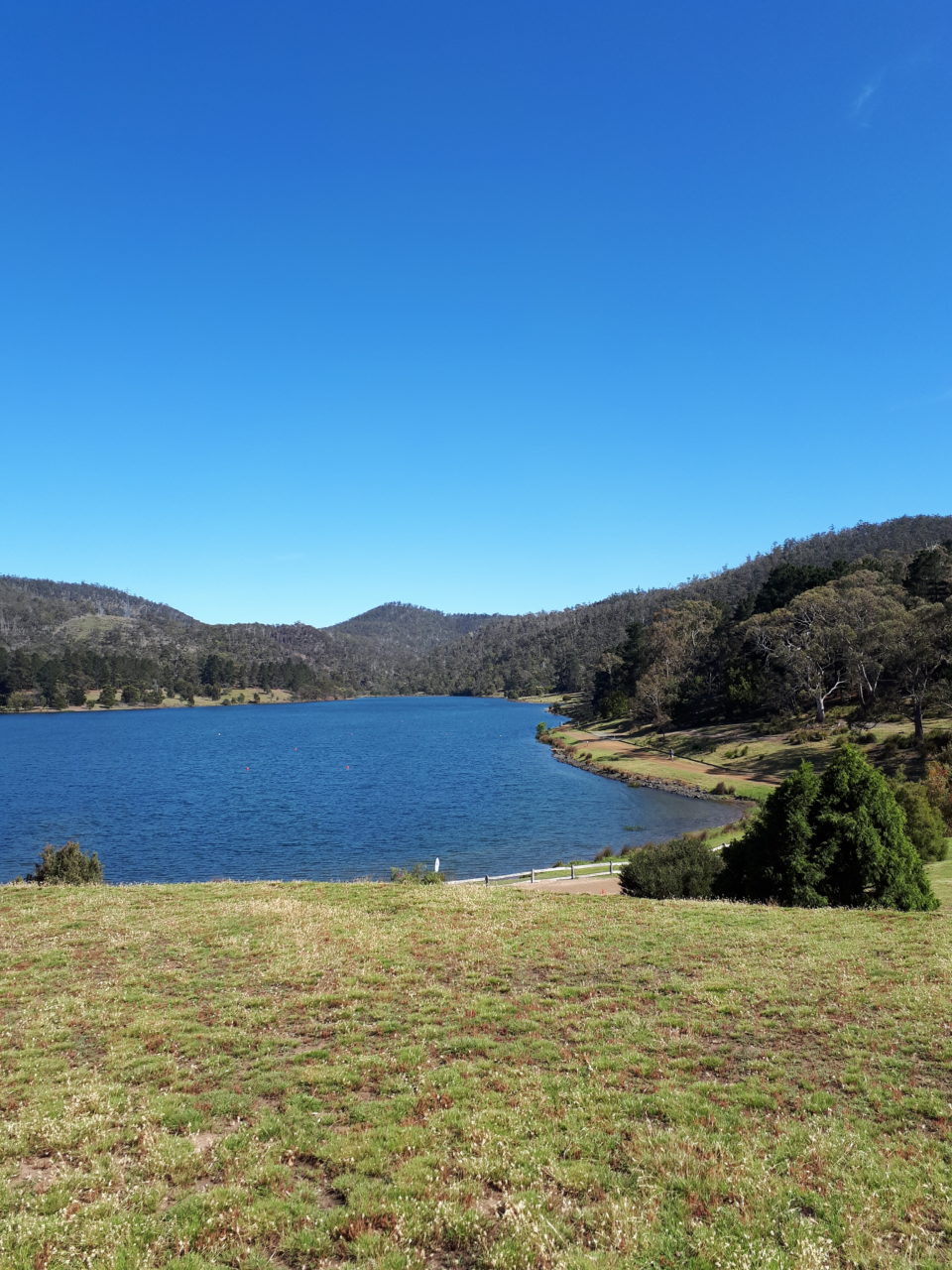 Athletics Tasmania Registrations 20232024 Tasmanian Masters Athletics