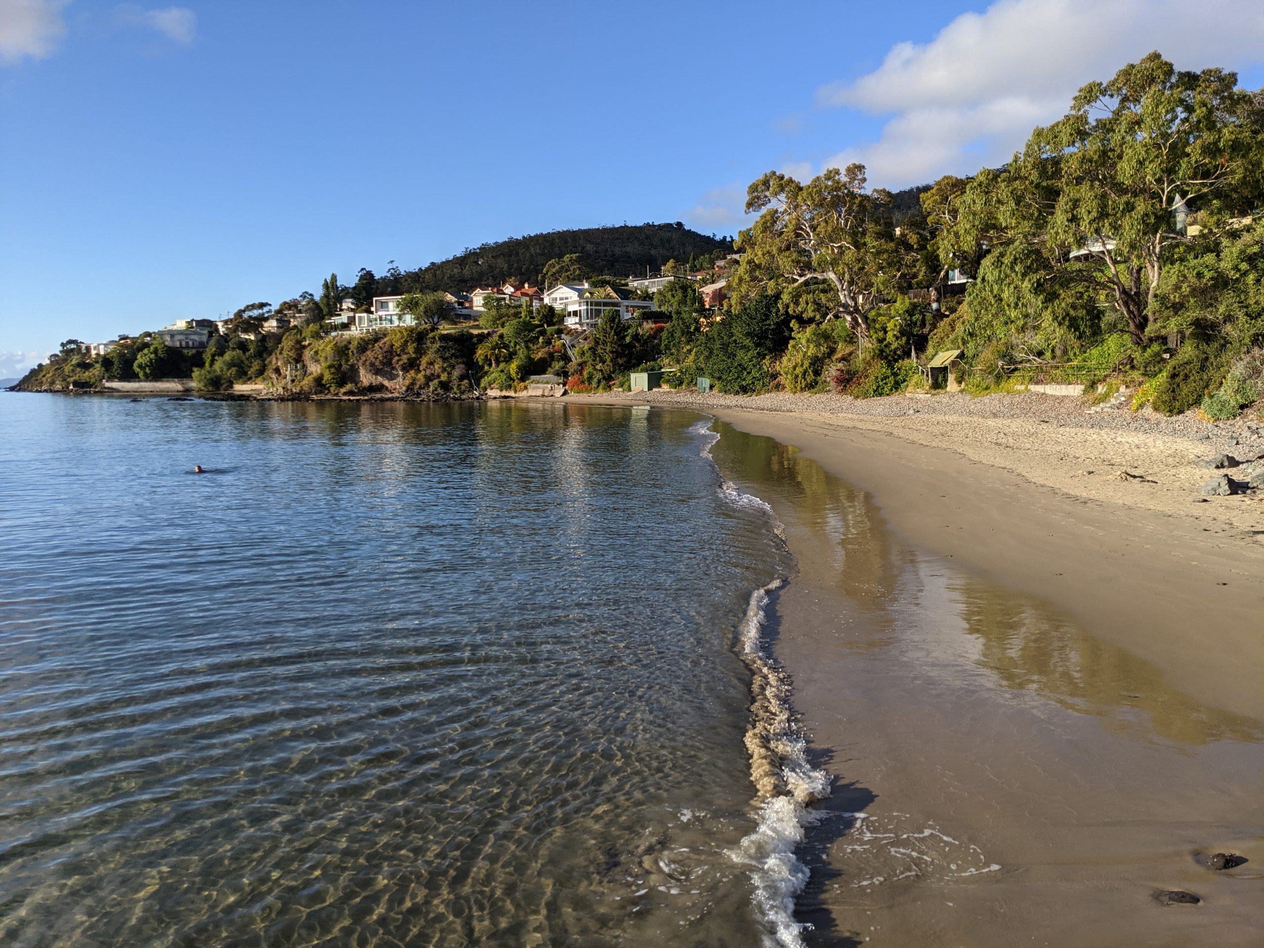 Tma Fun Run Walk Sunday 28 March 21 Tasmanian Masters Athletics