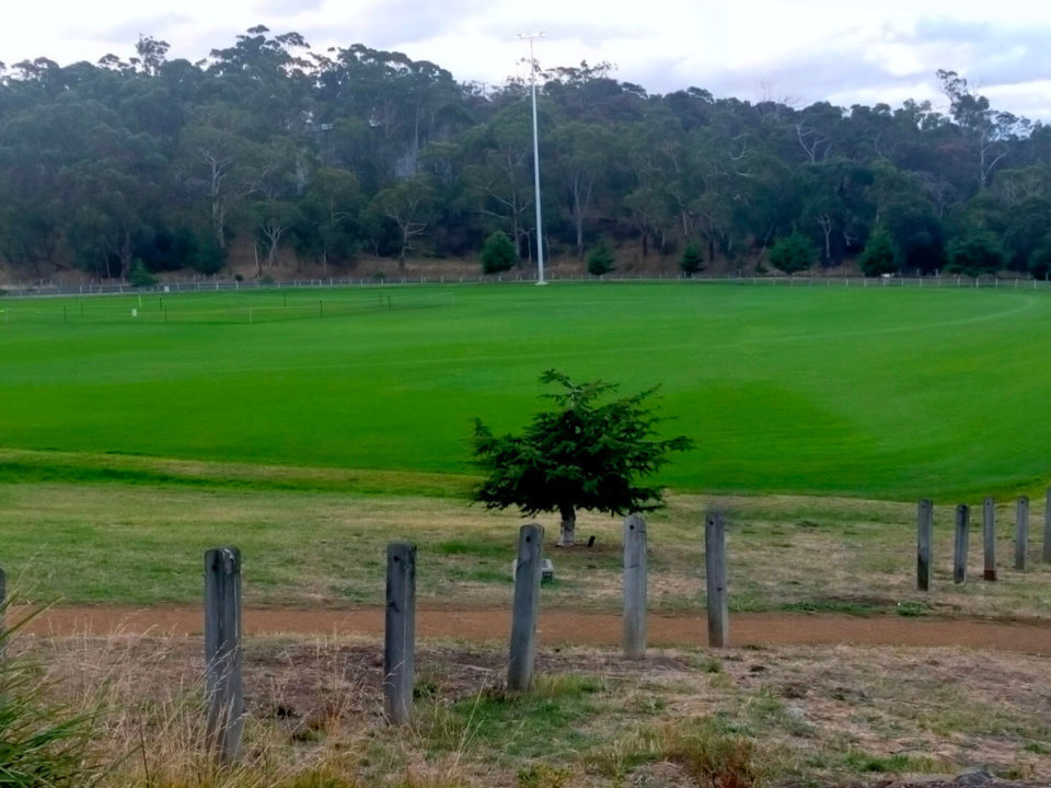 AMA Championships Hobart 2024 Tasmanian Masters Athletics